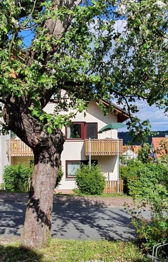 Appartement Kleinod Am Kurpark à Bad Zwesten Extérieur photo
