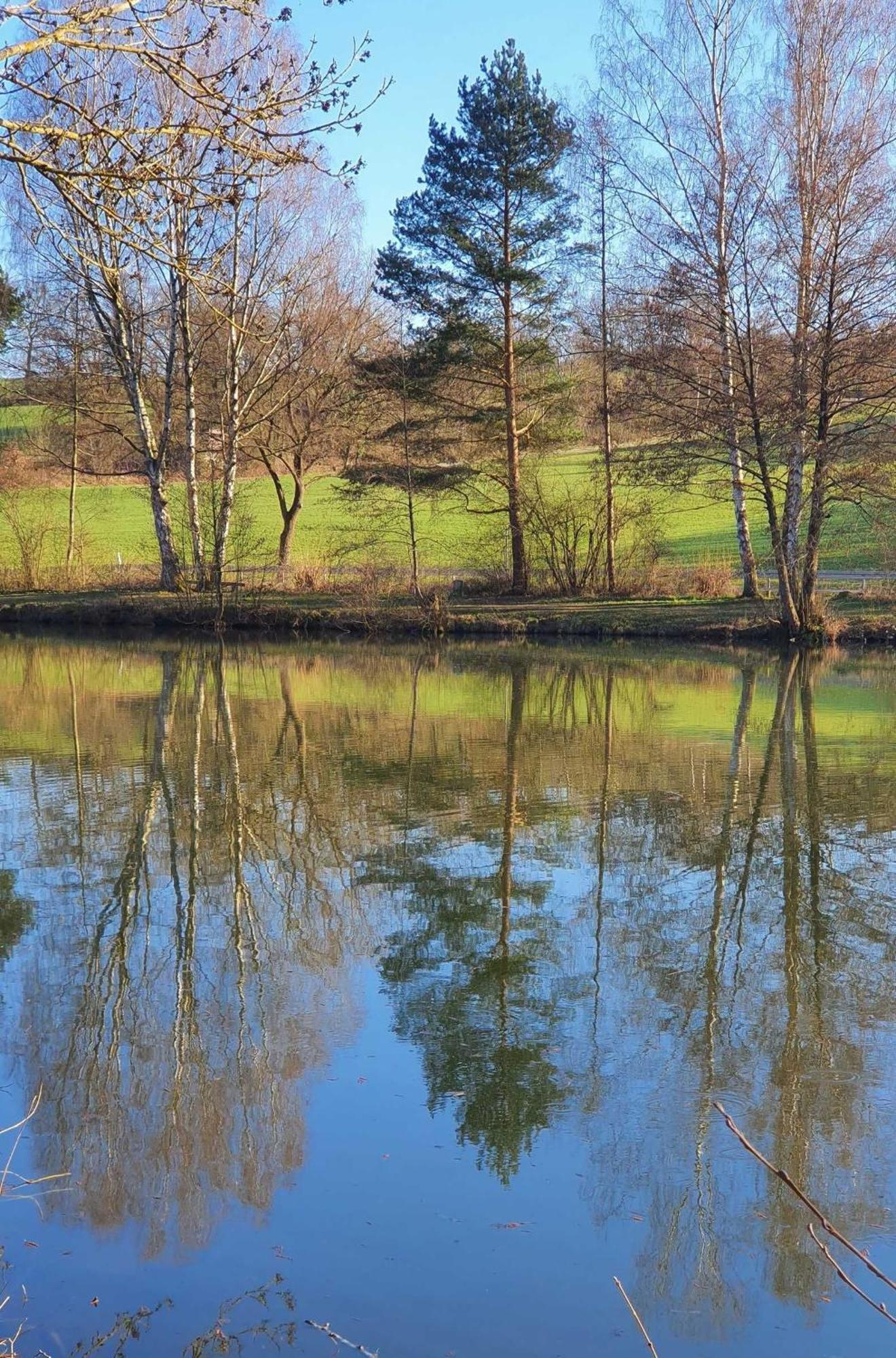Appartement Kleinod Am Kurpark à Bad Zwesten Extérieur photo